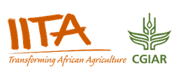 IITA