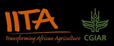 IITA