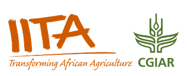 IITA